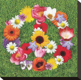 Peace Wreath Stretched Canvas Print by Jenny Kraft