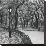 Walk Through the Park Stretched Canvas Print by Erin Clark