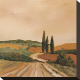 Shady Tuscan Fields Stretched Canvas Print by J. Clark