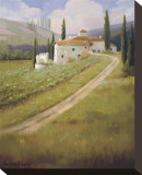 Tuscany Vineyard Stretched Canvas Print by Hawley 