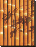 Teahouse Gate II Reproduction transférée sur toile par Jenny Kraft
