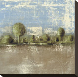 Toscano Plain Stretched Canvas Print by Parra 