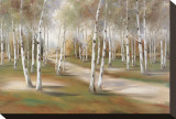 The Road Less Traveled Stretched Canvas Print by Marc Lucien