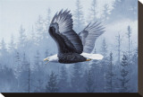 Spirit of the Forest Stretched Canvas Print by Telander 