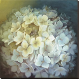 Hydrangea Portrait Stretched Canvas Print by Lisa Audit Hydrangea Portrait Stretched Canvas Print by Lisa Audit