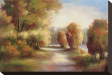 Changing Seasons Stretched Canvas Print by Marc Lucien