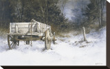 Edge of the Wood Stretched Canvas Print by Ray Hendershot