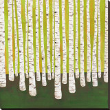 Birch Forest Stretched Canvas Print by Lisa Congdon