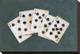 Straight Flush Leinwand von Lisa Danielle