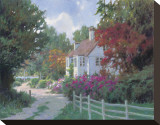 Country Lane Stretched Canvas Print by Allan Myndzak