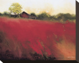 Red Land Stretched Canvas Print by Thomas Stotts