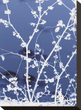 Autumn Branch (blue) Reproduction transférée sur toile par Jenny Kraft