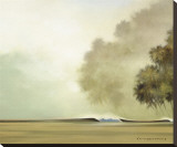 Point Savage I Stretched Canvas Print by Wade Koniakowsky