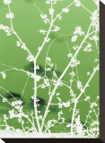 Autumn Branch (green) Stretched Canvas Print by Jenny Kraft