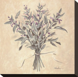 Scent of Sage Stretched Canvas Print by Telander 