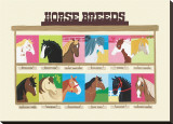 Horse Breeds Stretched Canvas Print by Janell Genovese