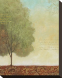 Beautiful Day I Stretched Canvas Print by John Zaccheo