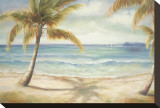 Shoreline Palms II Stretched Canvas Print by Marc Lucien