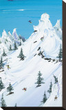 Backcountry Stretched Canvas Print by Steven Valiere