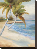 Beach Haven Stretched Canvas Print by Marc Lucien