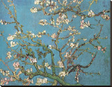Branches d'Amandier en Fleurs, 1890 Reproduction transférée sur toile par Vincent van Gogh