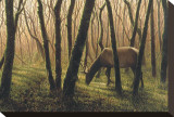 Day's End Stretched Canvas Print by Shawn Gould