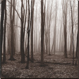 Winter Woods Stretched Canvas Print by Erin Clark