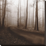 Recollection Stretched Canvas Print by Erin Clark