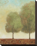 Beautiful Day II Stretched Canvas Print by John Zaccheo