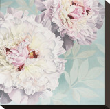 Peony on Blue Stretched Canvas Print by Elizabeth Hellman