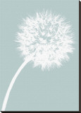 Dandelion Tilt (blue) Stretched Canvas Print by Jenny Kraft