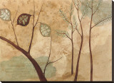Foliage II Stretched Canvas Print by Susan Osborne