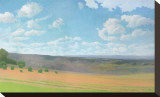 Hayfield I Stretched Canvas Print by Elissa Gore