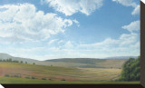Shadow and Sunlight, Hayfield Stretched Canvas Print by Elissa Gore