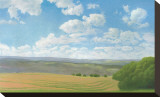 Hayfield II Stretched Canvas Print by Elissa Gore