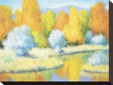 October Reflections Stretched Canvas Print by B. Oliver