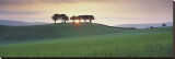 Somerset Sunrise Stretched Canvas Print by David Noton