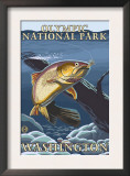 Trout Fishing Cross-Section, Olympic National Park, Washington Prints by Lantern Press 