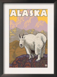 Mountain Goat, Alaska Posters