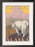 Mountain Goat, Katmai, Alaska Prints
