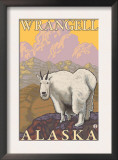 Mountain Goat, Wrangell, Alaska Prints