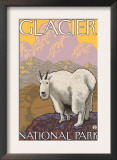 Mountain Goat, Glacier National Park, Montana Posters by Lantern Press 