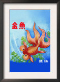 Fancy Bubble Eye Goldfish Poster
