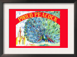 Proud Peacock Posters