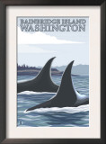 Orca Whales 1, Bainbridge Island, Washington Posters by Lantern Press 