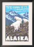 Mountain Goats Scene, Seward, Alaska Posters