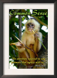 Common Sense Art