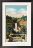 Ithaca, New York - View of Taughannock Falls No. 2 Posters