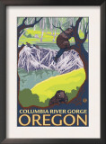 Beaver Family, Columbia River Gorge, Oregon Posters