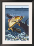 Trout Fishing Cross-Section, Yellowstone National Park Prints by Lantern Press 